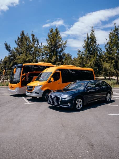 La Palma fleet